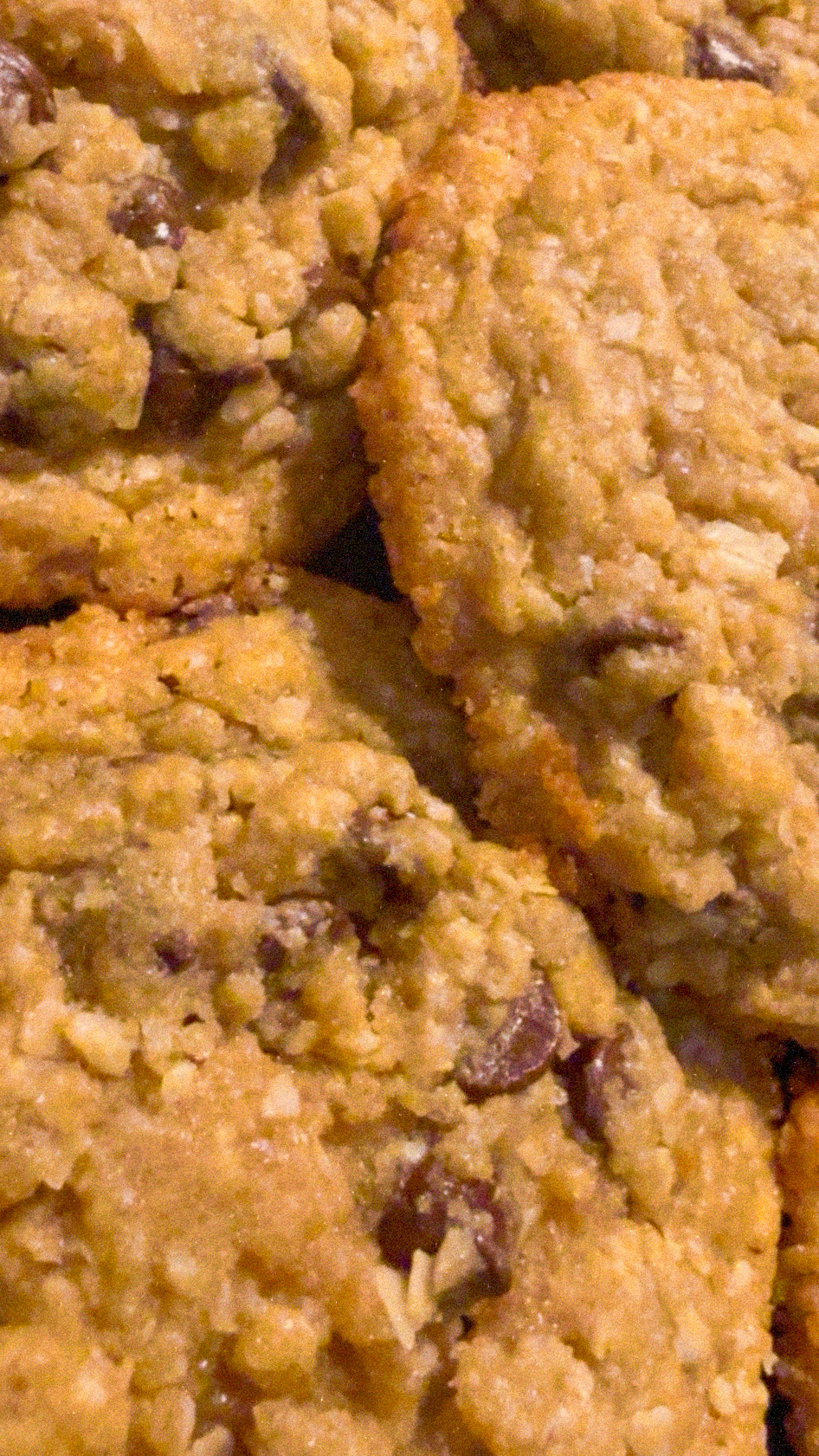 Oatmeal Chocolate Chip Cookies