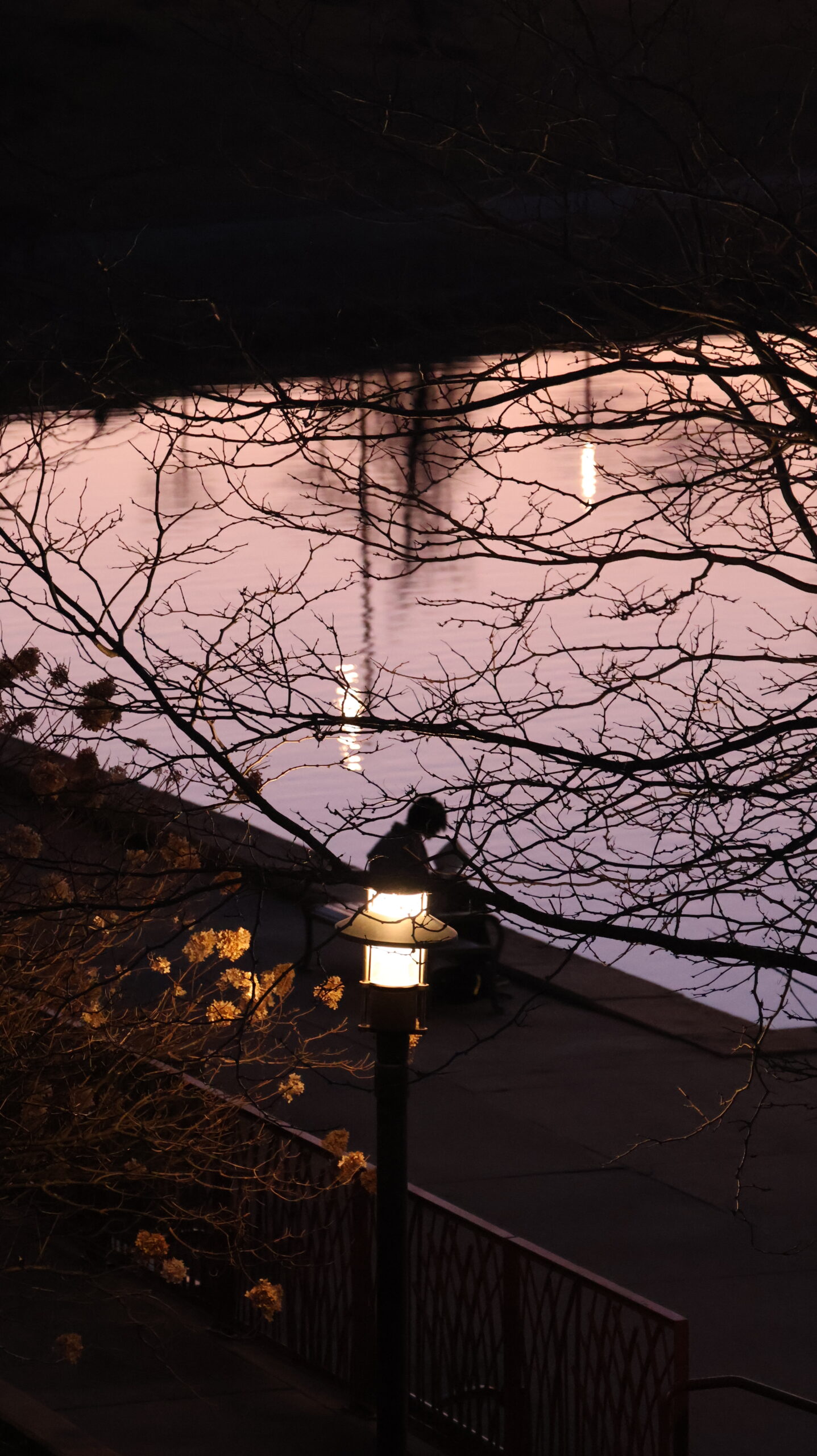 Lantern and evening sky photographed by LAL ST